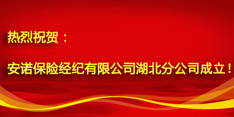 安诺保险经纪有限公司湖北分公司正式成立 